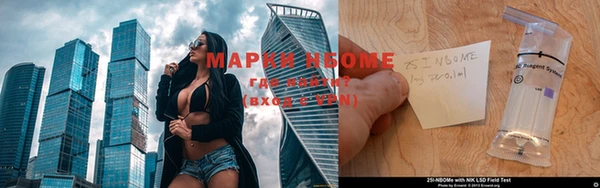 прущая мука Дмитриев